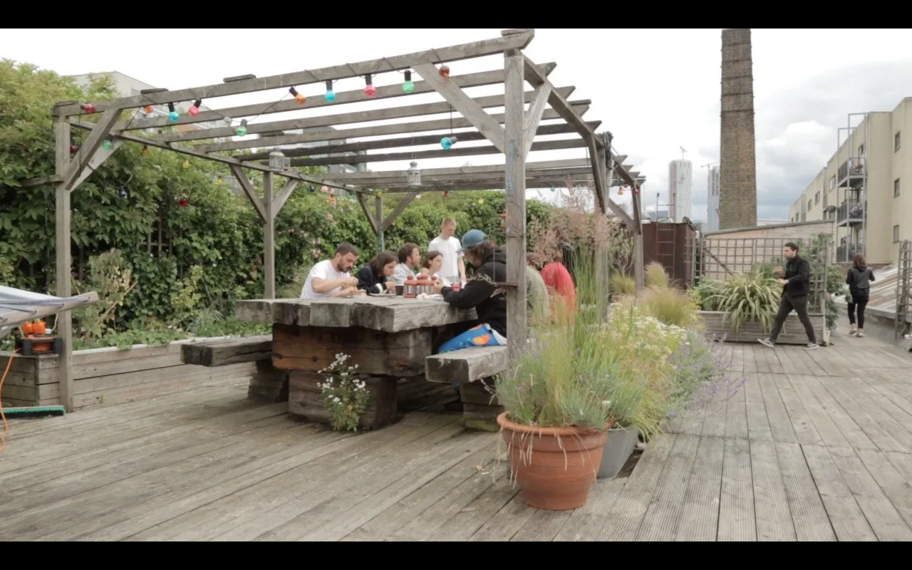 Dinner on the roof